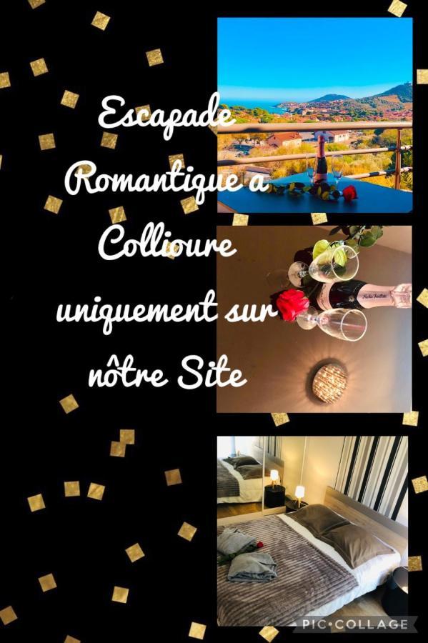 קוליור Appartement Sous Le Soleil Vue Mer, Parking Inclus , Clim ,Wifi מראה חיצוני תמונה