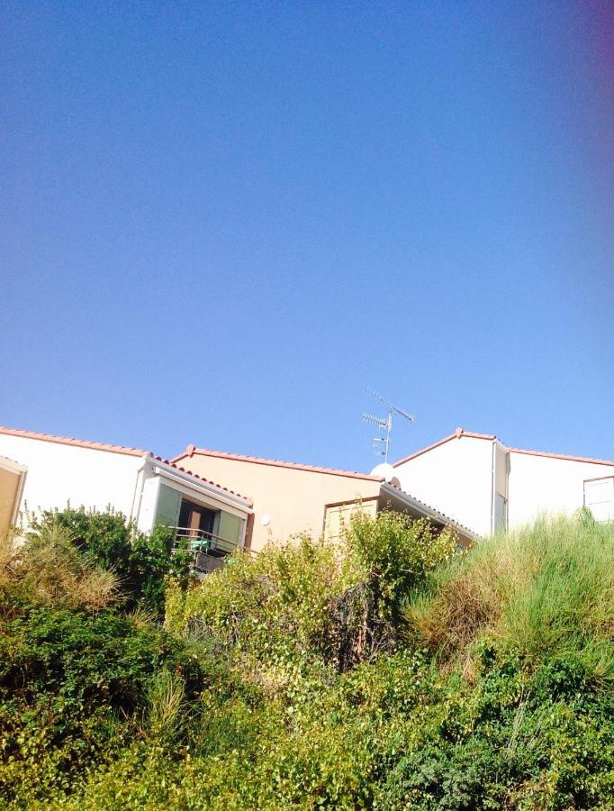 קוליור Appartement Sous Le Soleil Vue Mer, Parking Inclus , Clim ,Wifi מראה חיצוני תמונה
